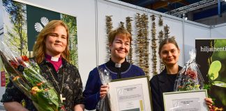 ”Rehellinen ja avoin hengellisen matkan kuvaus” – Anni Pesosen Credo – Tieni mystiikkaan on Vuoden kristillinen kirja 2021