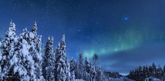 Jumalan ja ihmisen ääretön laatuero – sata vuotta sitten Karl Barthin teologiassa evankeliumi kohtasi uuden aikakauden