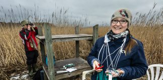 ”Pää tyhjenee kiireestä ja stressistä” – pastori Jenni Kallio rengastaa lintuja