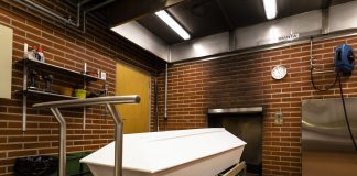 Yhä useampi haluaa itselleen hautapaikan merestä tai mökkimetsästä – Kolille puuhataan modernia luonnonkalmistoa