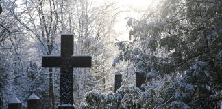 Lumi tekee hautausmaasta unohduksen puutarhan – katso pysäyttävät kuvat