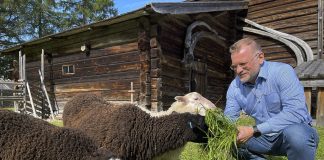 Arvio: Piispa Jari Jolkkonen vaeltaa mainiossa dokumentissa Paavo Ruotsalaisen jäljillä Aholansaaressa ja Telppäsniityllä