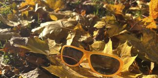 Luonto puhuu: Valo vetelee viimeisiään, eräänä päivänä pellolla kasvoi kultaa