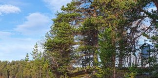 Saamelaisalueen vainajainjäänteet haudataan uudelleen Saamelaisten kirkkopäivien päätteeksi