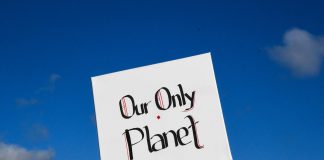 Kirkon eläkerahasto tavoittelee hiilineutraalia sijoitussalkkua vuoteen 2035 mennessä