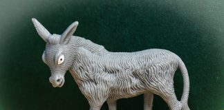 Kolumni: Messias tulee ratsastaen aasilla – ja se aasi on tuhannenkirjava