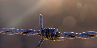 Yksinäisyystutkija Kirkon kasvatuksen päivillä: Nuorten psyykkinen pahoinvointi on voimakkaampaa kuin koskaan aiemmin 2000-luvulla