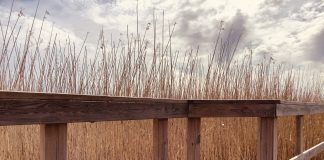 Espoossa kaupunki tilasi seurakunnilta Hiljaisuuden polun, jonka 14 pysäkkiä saavat inspiraationsa luonnosta