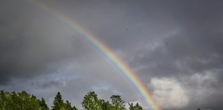 Luonto puhuu: Mitä merkitsivät sateenkaaren puolikkaat?
