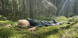 Melkein kuin metsässä kulkisi – muotoilijat puolustavat katoavia ikimetsiä