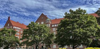 Luonto puhuu: Kaupunkiluonto yllätti kulkijan, mutta miten kävi kun apotti hakkautti puut