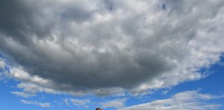 Uskonnollisille kesätapahtumille myönnettiin valtion korona-avustusta runsaat miljoona euroa – katso, mitkä järjestöt saivat rahaa