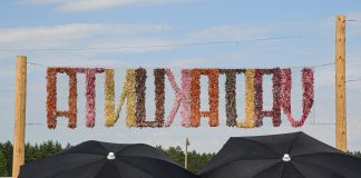 ”Mediaa käytetään omantunnon mukaan” – Vanhoillislestadiolaisuudessa hankala tv-suhde nähdään nyt mediakasvatuksena