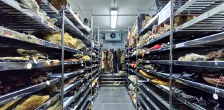 Saamelaisyhteisö kohtaa oman perintönsä Suvi Westin uutuusdokumentissa