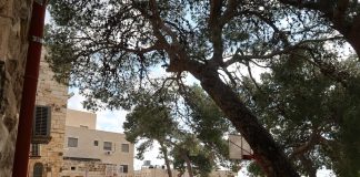 Kuopion hiippakunnalla ja Suomen Lähetysseuralla diakoniakeräys Gazan sodasta kärsivien hädän lievittämiseksi