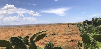 Punaiset tuulet tulevat – Madagaskarilla luterilainen kirkko auttaa sopeutumaan ilmastonmuutokseen