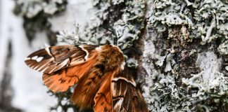 Luonto puhuu: Miltä Jumala näyttää?