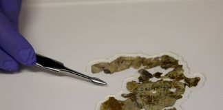 Kommentti: Parituhatta vuotta luolassa säilyneestä pergamentista kajahtaa profeetan ääni: ”Puhukaa totta toisillenne!”