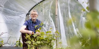 ”En ollut tiennyt , että viini voi maistua niin hyvältä” – Kirkkohallituksen eläköitynyt asiantuntija Kari Latvus innostui viininviljelystä