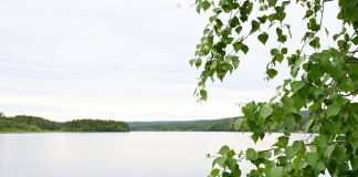 Rovaniemen seurakunta suojelee 131 hehtaaria vanhaa metsää – Illinvuopajan suojelualueesta tehtiin päätös