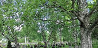 ”Hautausmaille tullaan eri tunnelmissa kuin kauppakeskukseen” – Iisalmessa hautausmaavieraille tarjotaan keskusteluapua