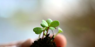 Epävarmuuden sietämisestä on tullut jokapäiväistä – mutta kristitylle sen pitäisi olla tuttu juttu