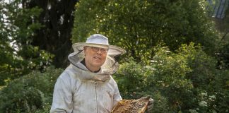 Emo on johtaja, joka luo pesään hengen, kertoo mehiläistarhausta harrastava Pekka Särkiö