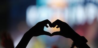 Maata Näkyvissä -festarit aiotaan järjestää marraskuussa yksipäiväisenä tapahtumana, lippuja myydään kaksituhatta