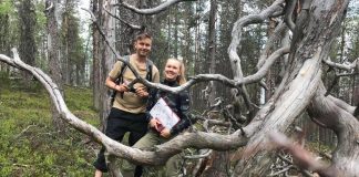 ”Kristinuskon ytimeen sisältyy vastuu luomakunnasta” – Luontoliitto ja kirkko yhteistyöhön metsien hyväksi