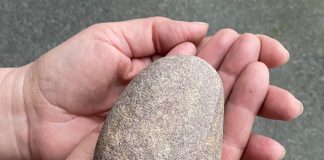 Piispa Kaisamari Hintikka antaa paavi Franciscukselle palan Itämerta – ”Sovinto luonnon kanssa edellyttää kohtuullisuutta myös kirkolta”