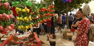 Muslimiprofessori ja rabbi pitävät Israelin ja Palestiinan konfliktia johtamisongelmana – ”Rauha kyllä tulee, mutta se tulee aina yllättäen”