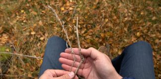 Godfulness-sivusto tarjoaa luontoon ja kehoon liittyviä hengellisyysharjoituksia