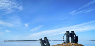 Luonto puhuu: Tyhjän taivaan tuijottajat – joskus linturetkellä ei näe mitään, tai ei ainakaan sitä mitä toivoisi