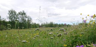 Kotimaan toimitus toivottaa kaikille hyvää juhannusta!