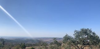 Arkkipiispa, Espoon piispa, Kirkon Ulkomaanapu ja joukko pappeja vetoavat tulitauon saamiseksi Gazaan