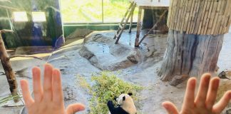 Monille perheille seurakunnan kesäretki mahdollistaa päivän, johon ei muuten olisi varaa