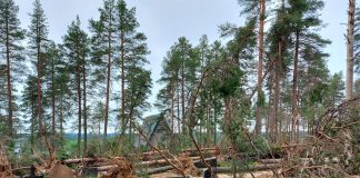 ”Näkymä on kuin sotatantereelta” – Taivalkosken hautausmaan myrskytuhot saivat kirkkoherran sanattomaksi