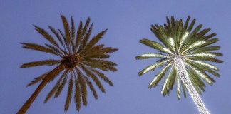 Kirkon turistityö säästöjen kourissa – uudet talvipapit ja -kanttorit valittu, katso nimet