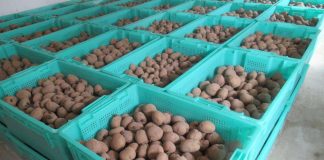 Kehitysyhteistyöjärjestö Fida lopettaa työnsä Pohjois-Koreassa USA:n asettamien pakotteiden takia