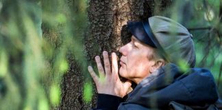 Mikä veneistä olet? Mikä puu kutsuu luokseen? – Pyhiinvaeltajat kulkivat läpi urbaanin Tampereen