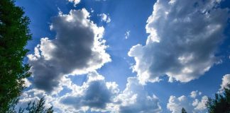 Essee: Ihmiskeskeinen kristinusko ei ole kyennyt olemaan uskottava vastavoima maan riistolle