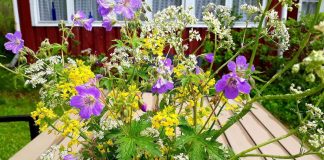 Kotimaa24 toivottaa hyvää pyhää! – Juhannus on tien raivaajan juhla, joka kutsuu luontoon ja valoon