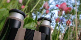 Kolumni: Missouri-synodin mukaan maailma luotiin kuudessa päivässä