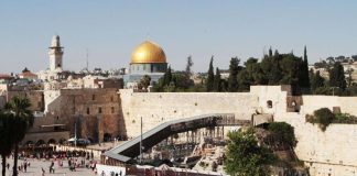 Kettuja juoksentelee Jerusalemin Temppelivuorella – toteutuuko profeetta Sakarjan ennustus, kysytään Israelissa