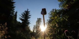 Kolumni: Rangaistukset vähenivät koulusta ja kirkosta, ja armolliseen kasvatukseen päätyi myös Luoja