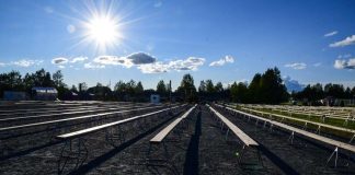 Kolumni: Kesäjuhlissa ruumiillistuu suomalaisen luterilaisuuden erikoinen hajanaisuus