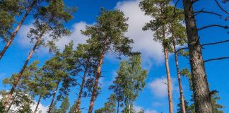 Hämeenlinnassa yövytään viikonloppuna joukolla seurakunnan leirikeskuksen pihapiirissä