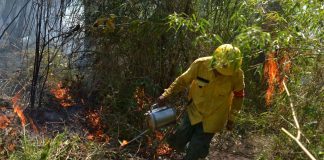 Pääkirjoitus: Ympäristöstä huolta kantava ruokailija syö Suomessa kotimaista ruokaa