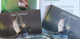 Sacrum aloitti kirjojen kustantamisen – ”Täsmätuotteita seurakuntien tarpeeseen”