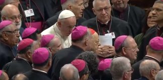 Amazonin alueen piispojen synodi ratkoo pappispulaa – voisiko naimisissa olevia miehiä vihkiä papeiksi?